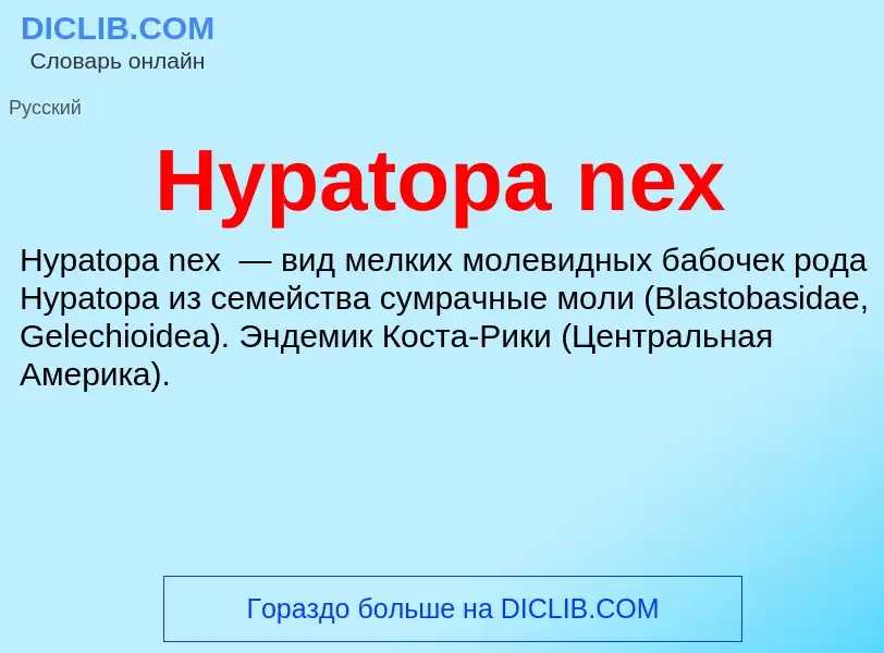 Что такое Hypatopa nex - определение