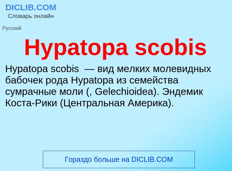 Что такое Hypatopa scobis - определение