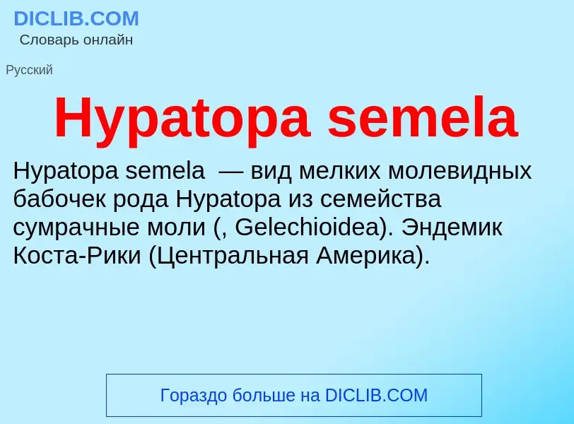 Что такое Hypatopa semela - определение