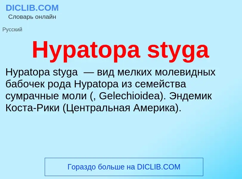 Was ist Hypatopa styga - Definition