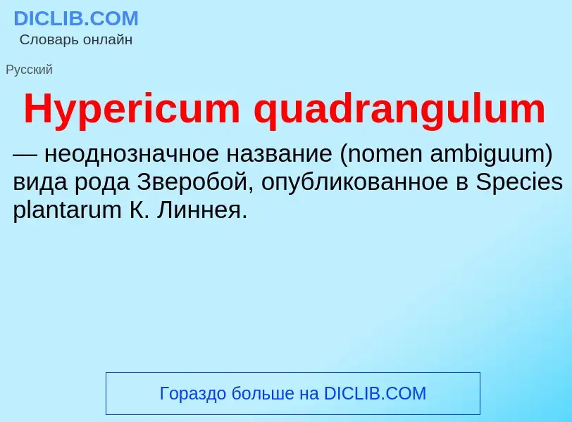 Was ist Hypericum quadrangulum - Definition