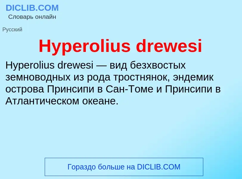 Что такое Hyperolius drewesi - определение