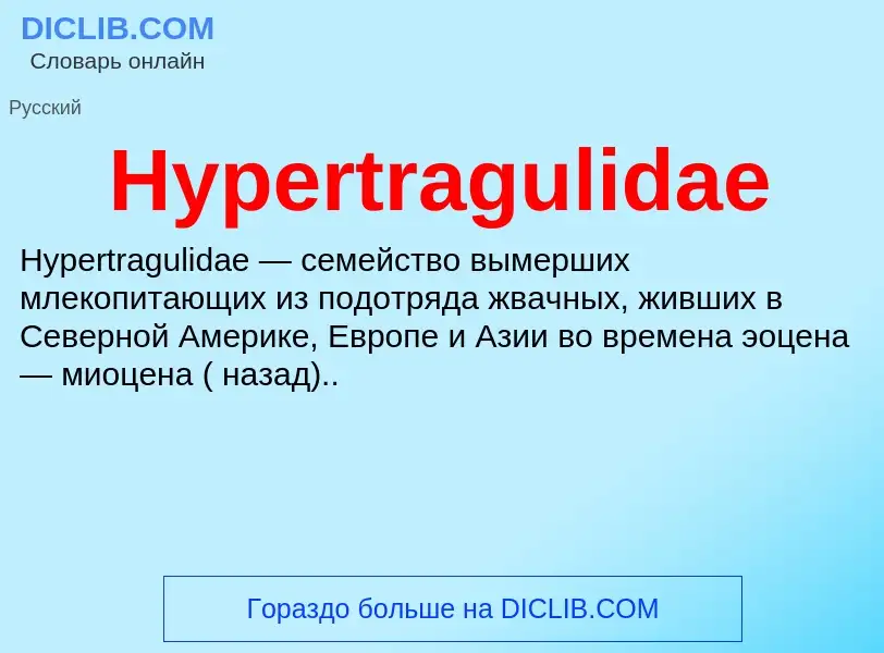 Что такое Hypertragulidae - определение