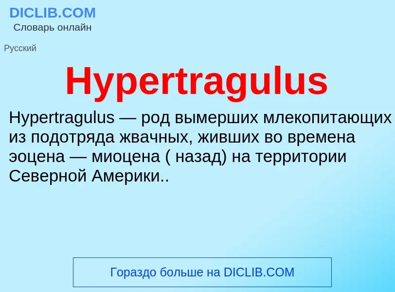 Что такое Hypertragulus - определение