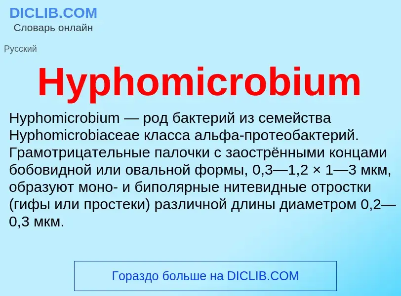 Что такое Hyphomicrobium - определение