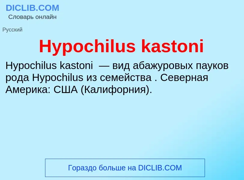 Что такое Hypochilus kastoni - определение