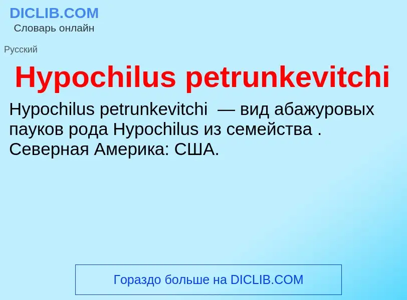 Что такое Hypochilus petrunkevitchi - определение