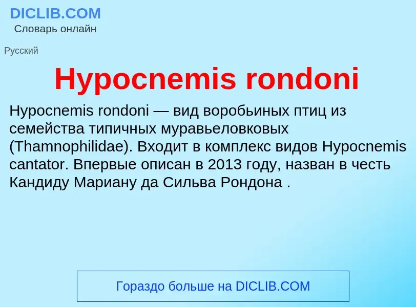 Что такое Hypocnemis rondoni - определение