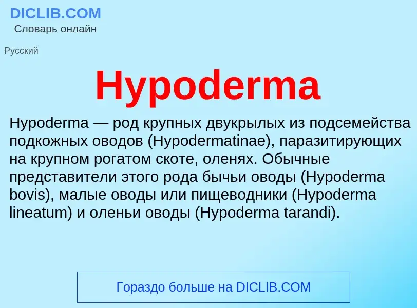 Что такое Hypoderma - определение