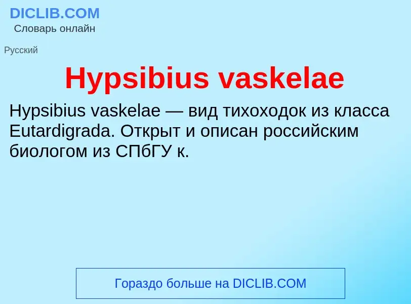 Что такое Hypsibius vaskelae - определение