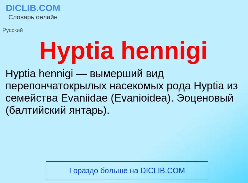 Что такое Hyptia hennigi - определение