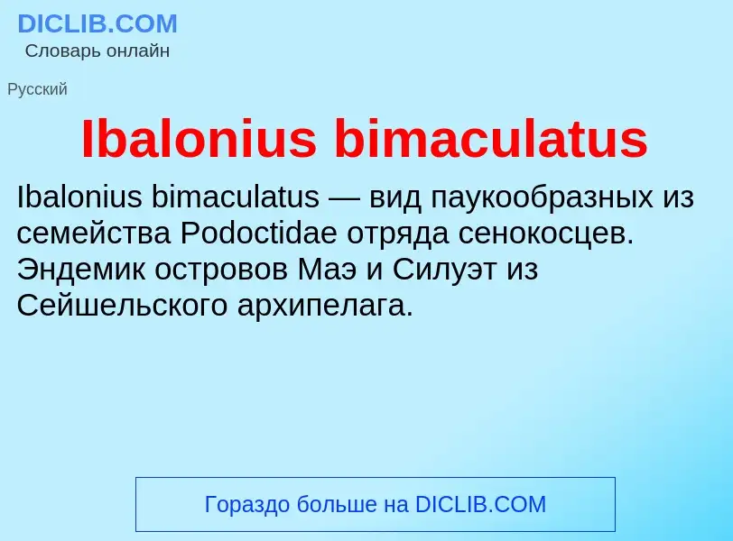 Τι είναι Ibalonius bimaculatus - ορισμός