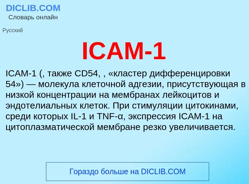 Was ist ICAM-1 - Definition