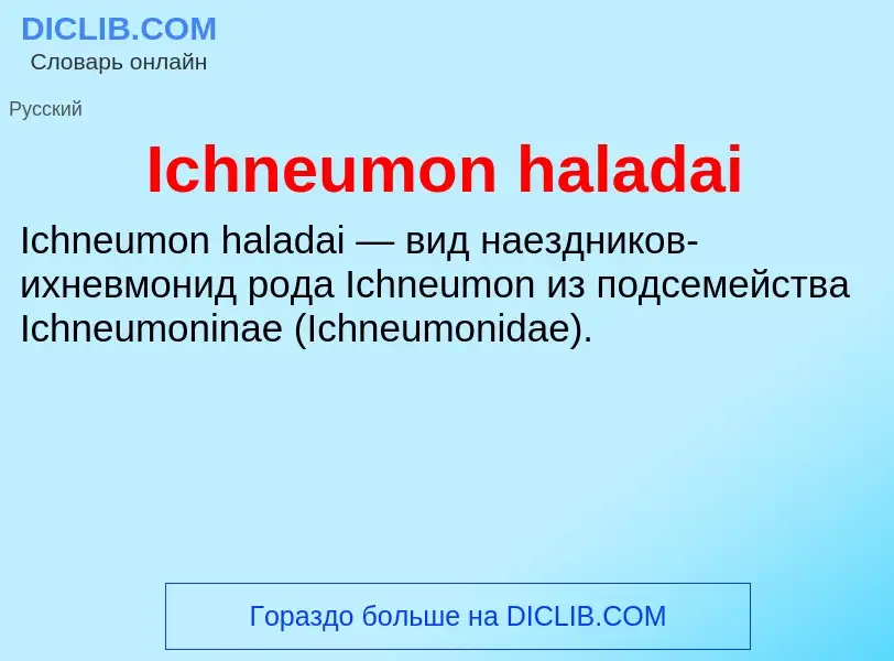 Τι είναι Ichneumon haladai - ορισμός