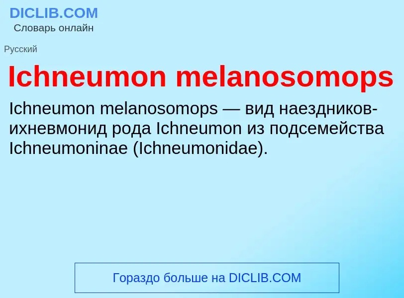 Τι είναι Ichneumon melanosomops - ορισμός