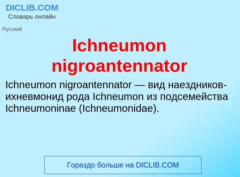 Τι είναι Ichneumon nigroantennator - ορισμός