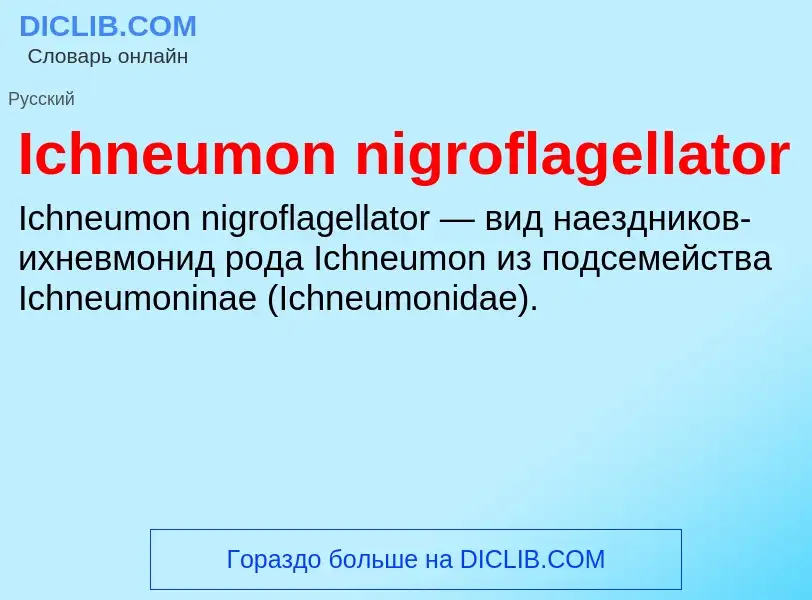 Τι είναι Ichneumon nigroflagellator - ορισμός