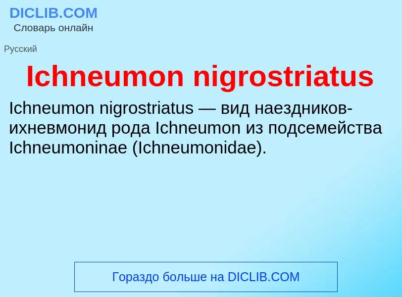 Τι είναι Ichneumon nigrostriatus - ορισμός