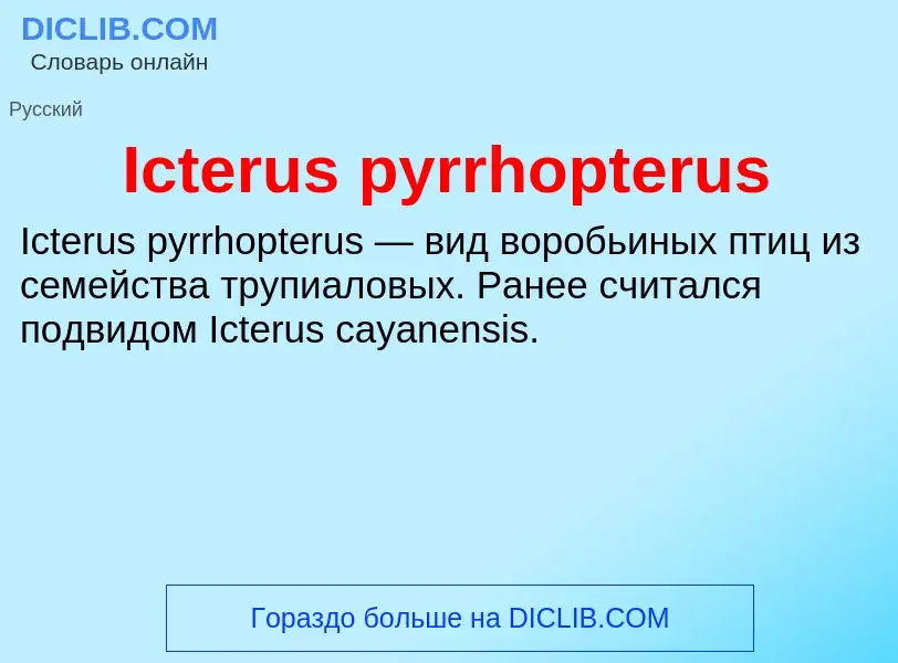 Τι είναι Icterus pyrrhopterus - ορισμός