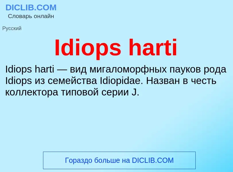 Τι είναι Idiops harti - ορισμός