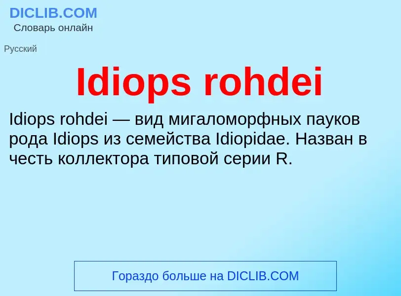 Τι είναι Idiops rohdei - ορισμός