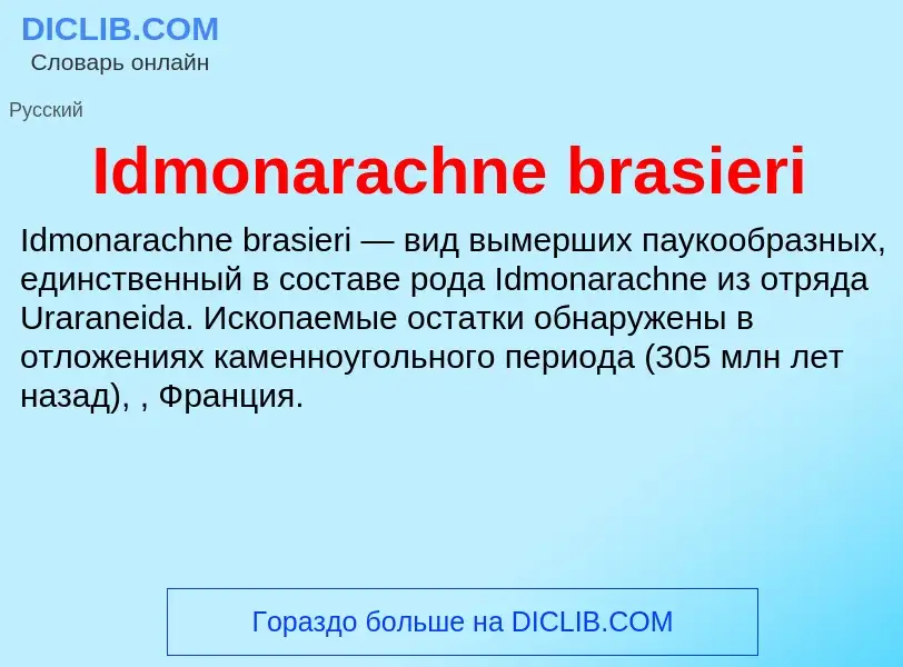 Τι είναι Idmonarachne brasieri - ορισμός