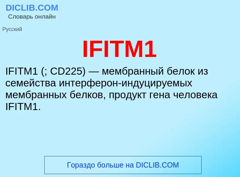 Τι είναι IFITM1 - ορισμός