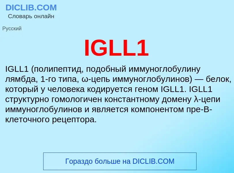 Wat is IGLL1 - definition