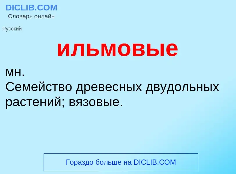 O que é ильмовые - definição, significado, conceito