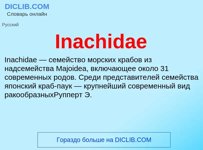 Что такое Inachidae - определение