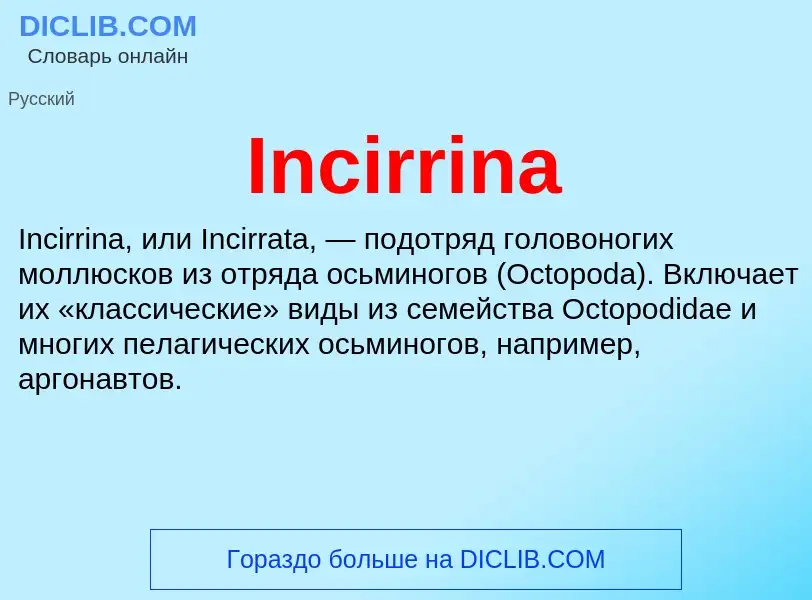 Что такое Incirrina - определение