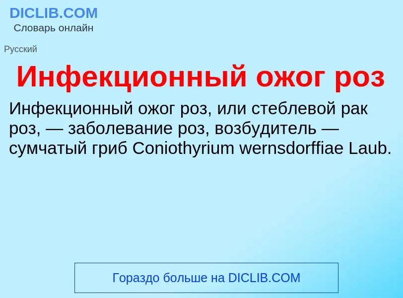 O que é Инфекционный ожог роз - definição, significado, conceito