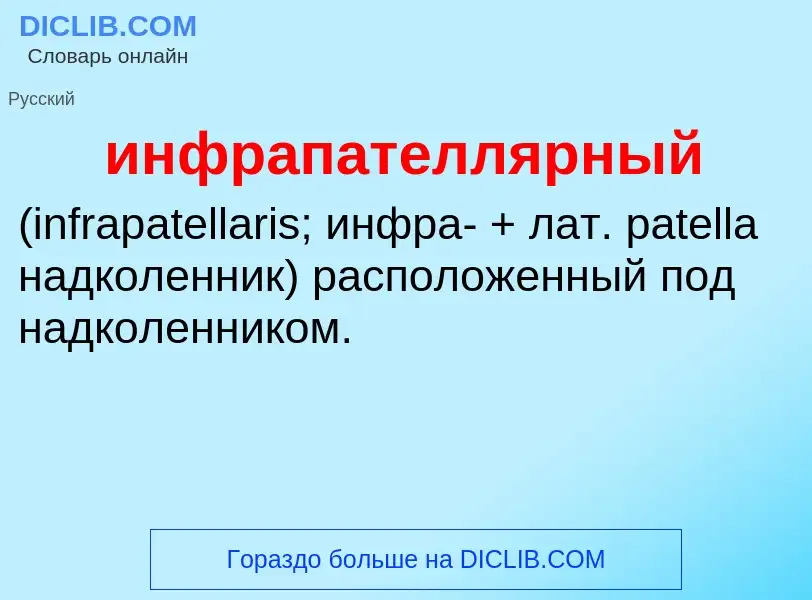 Wat is инфрапателлярный  - definition