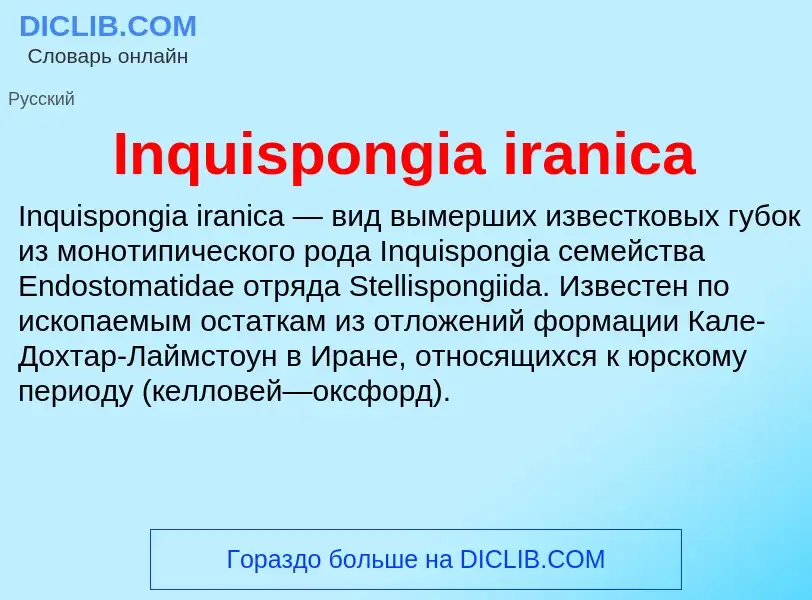 What is Inquispongia iranica - meaning and definition