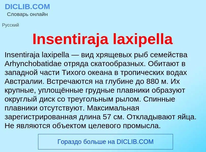 ¿Qué es Insentiraja laxipella? - significado y definición