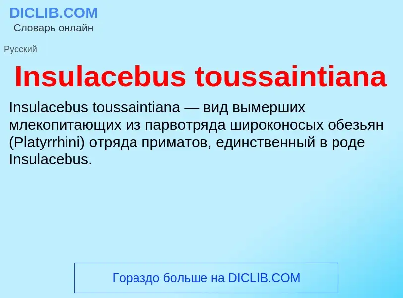 ¿Qué es Insulacebus toussaintiana? - significado y definición