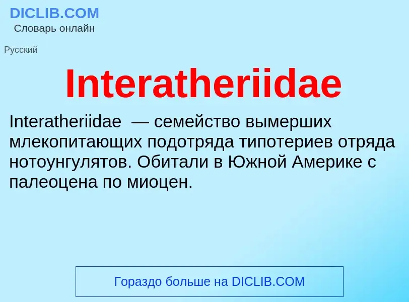 Wat is Interatheriidae - definition