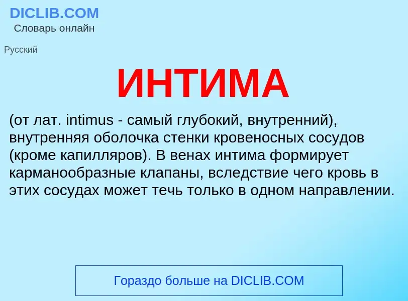 What is ИНТИМА - meaning and definition