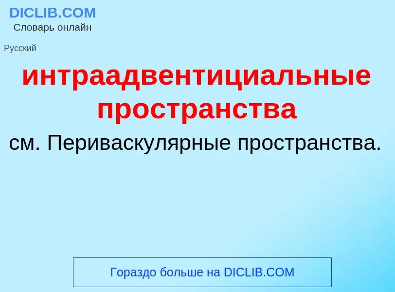 Wat is интраадвентициальные пространства - definition