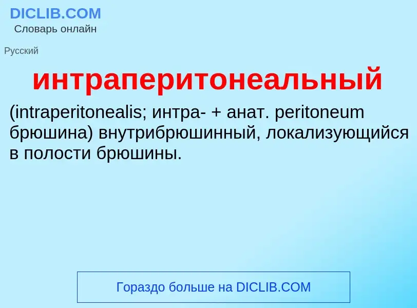 Wat is интраперитонеальный  - definition