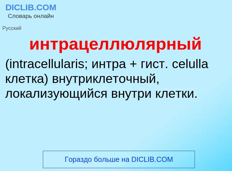 Wat is интрацеллюлярный  - definition