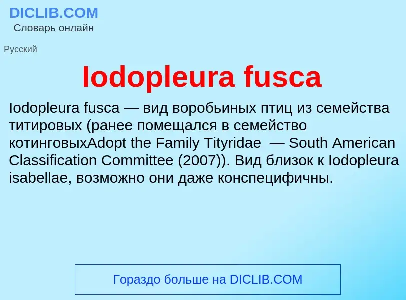 Что такое Iodopleura fusca - определение