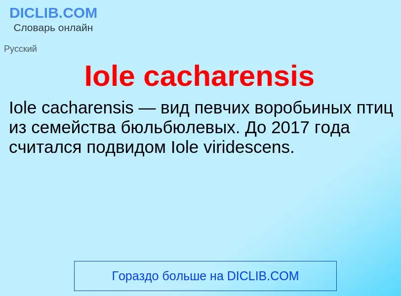 Wat is Iole cacharensis - definition