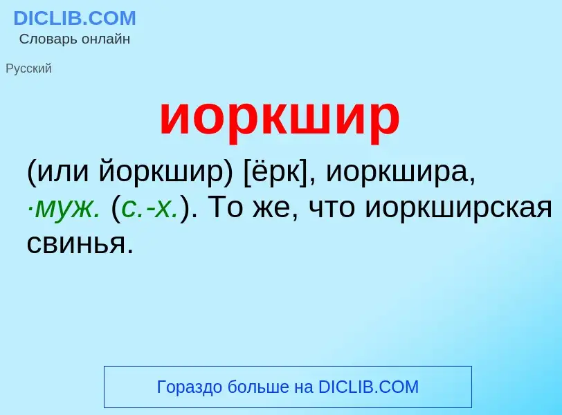 Wat is иоркшир - definition