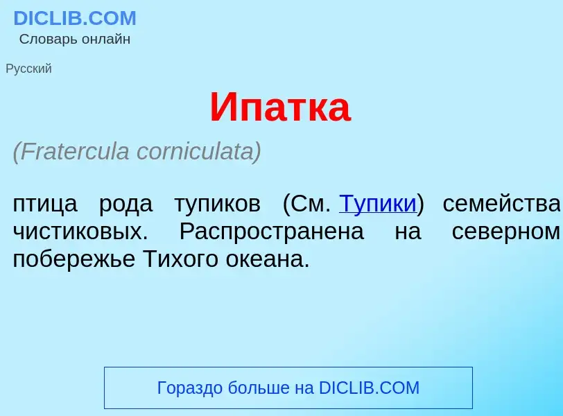 Wat is Ип<font color="red">а</font>тка - definition