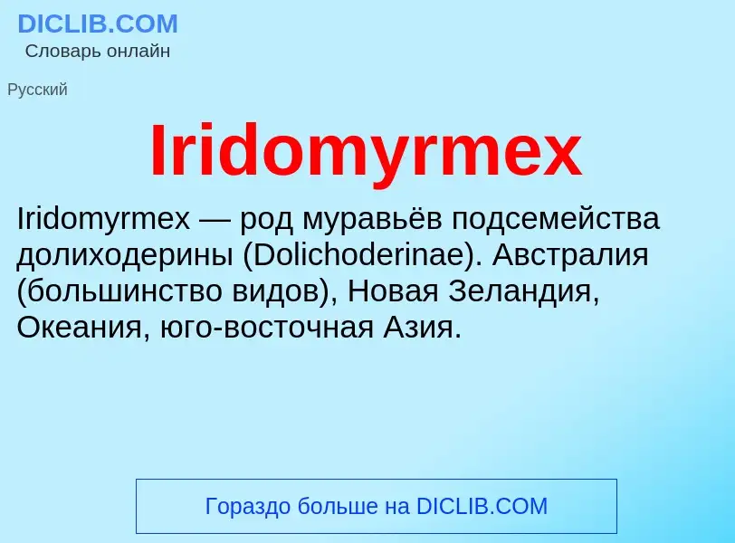 What is Iridomyrmex - definition