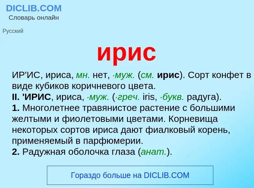 What is ирис - meaning and definition