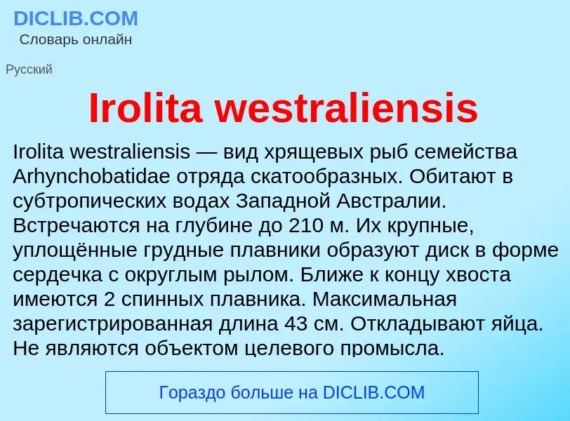 ¿Qué es Irolita westraliensis? - significado y definición