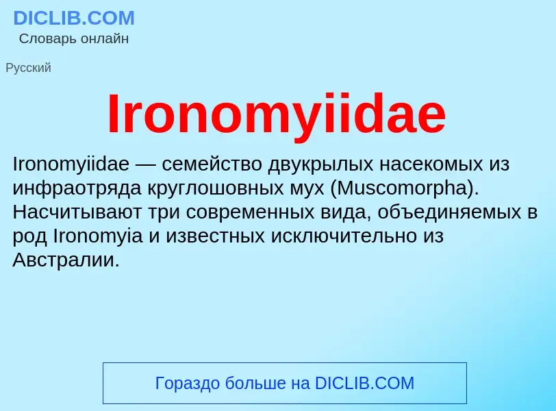 Что такое Ironomyiidae - определение