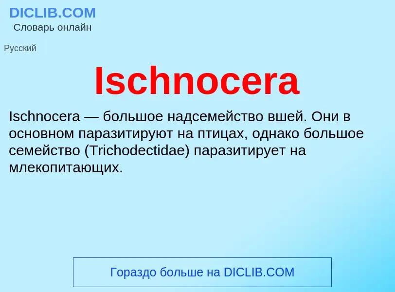 ¿Qué es Ischnocera? - significado y definición